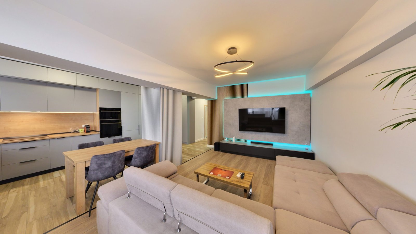 Luxury Apartment